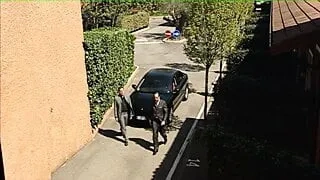 Fucking Pics