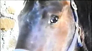 Sexy Blue Film Punjabi
