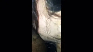 Tamilauntyxnxx
