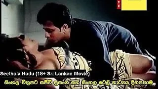 Very Nice Sex Videos