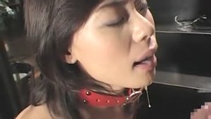 Brazzers Exxtra ∼ Wet Piper Perri Pussy Fucking Xxx