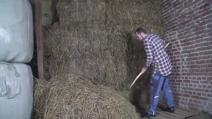 Xnxx Telgu