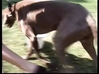 The Best With In Fetish Island
