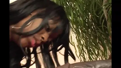 Big Boobs Saxy Video