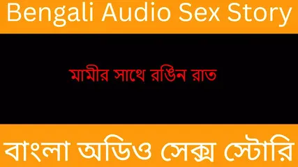 Bengali Audio Story - Family Drama