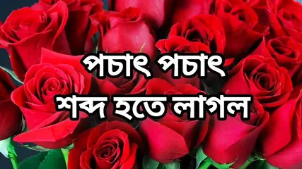 Rajwap In