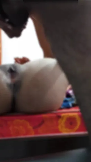 New English Hd Sex Videos