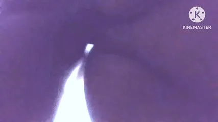 Telugu Mp4 Sex