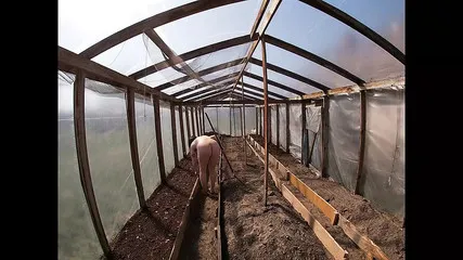 Bf Dijiye Video Mein