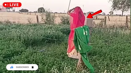 Saree Bhabhi Gets Naughty With Her Devar For Rough And Hard Anal Sex After Ice Massage On Her Back In Hindi By -snapchat143