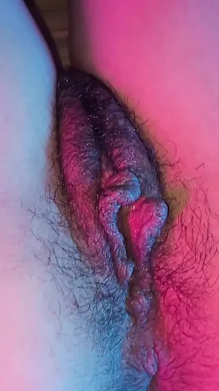 Www Xvideos Com Video3913761 Indian Xxx Hindi