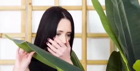 Sax Viedos