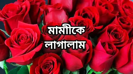 Bangla Chuda Chudi Chobi