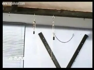 Xxx Saxsi Video