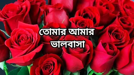 Desi Saxi Video
