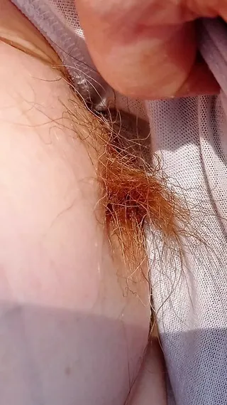 Xxxdbio