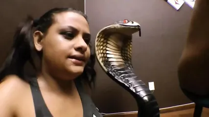 Xx Wali Video