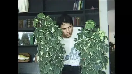 Saksibidio