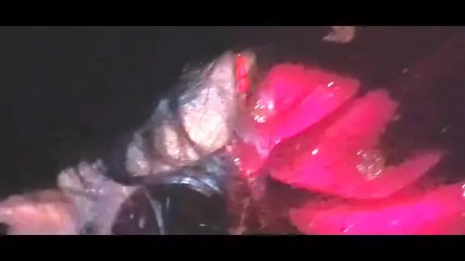 Sextubespot