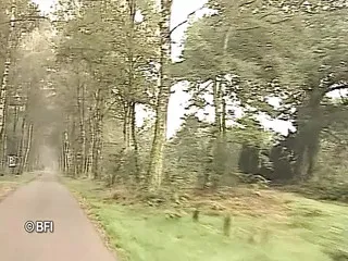 Dutch Girls - Married Couples 1