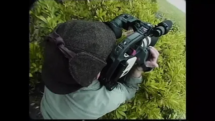 U Sex Video