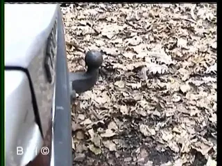 Bf Sex Coming