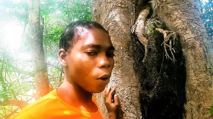 Highly Feeling In The Bush