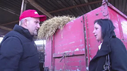 Sexvidvo