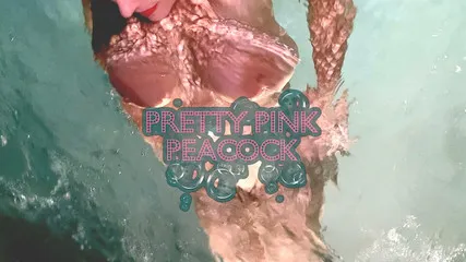 Abigail Porn Videos