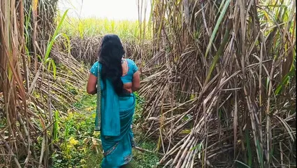 Japani Sexy Video Download