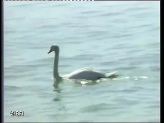 Goa Video Sex