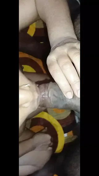 Bollywood Hd Porn
