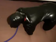 Amateur fetish couples tape