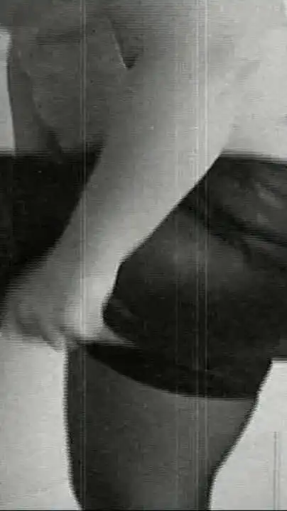 Trailer 338