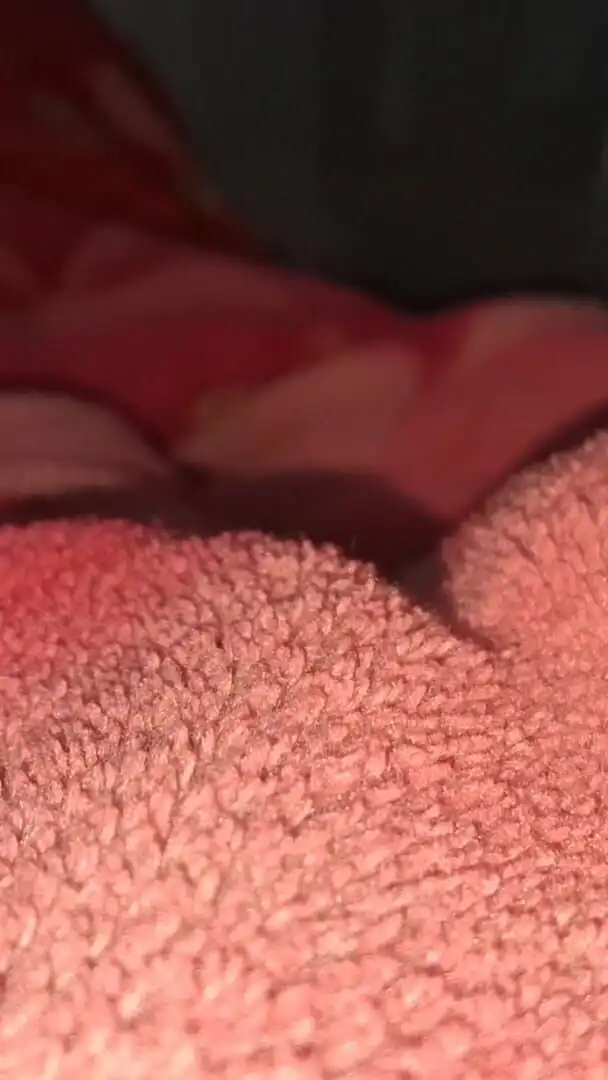 Dick Sucker