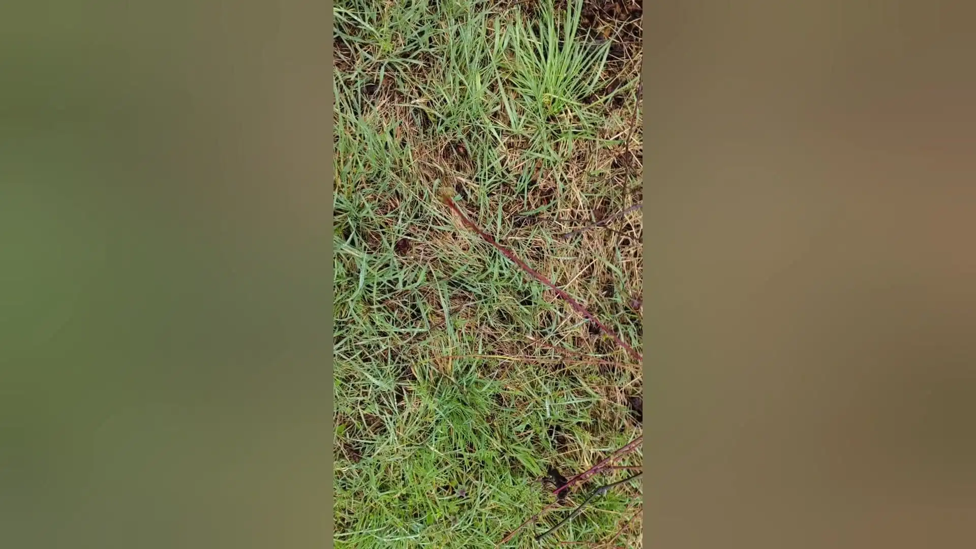 Just a Litte Bit Piss Cum Mix Enjoy