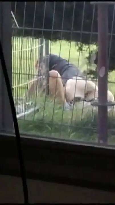 The Outdoor Fuck