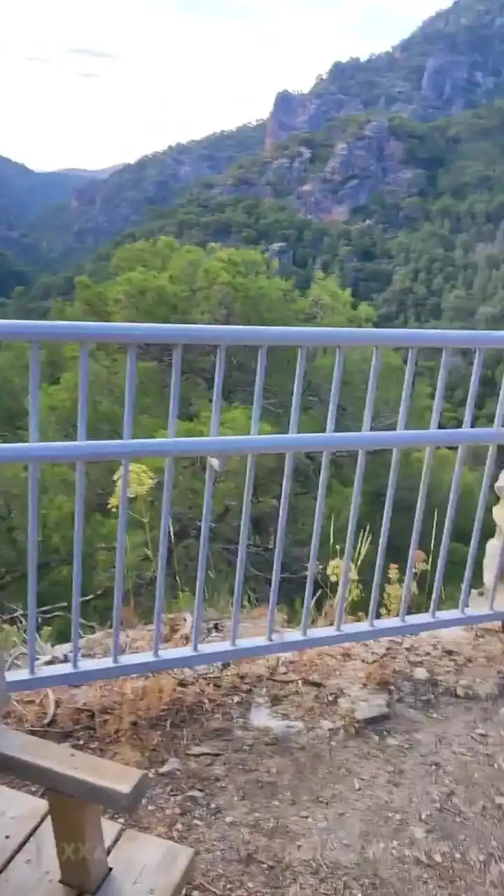 Blowjob