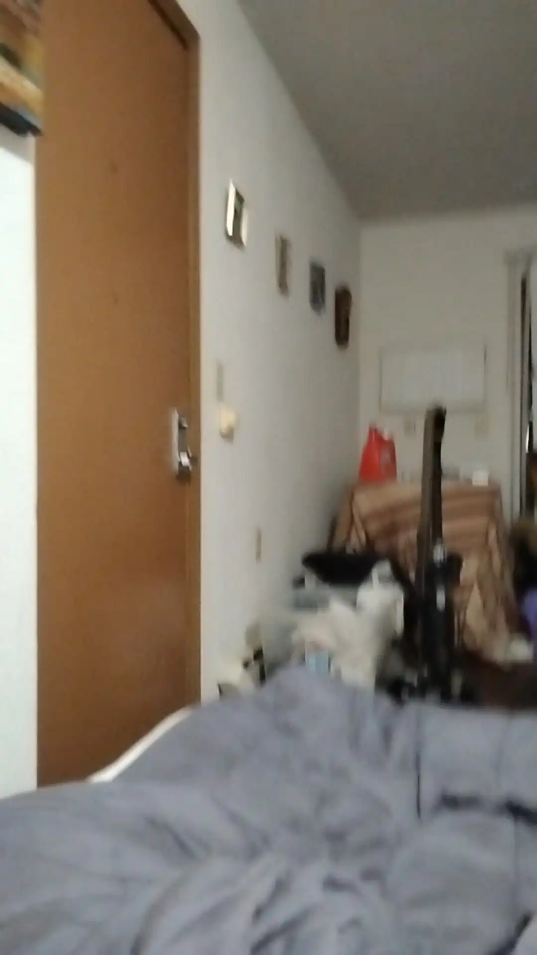 5-14-2025 Nut in Bed