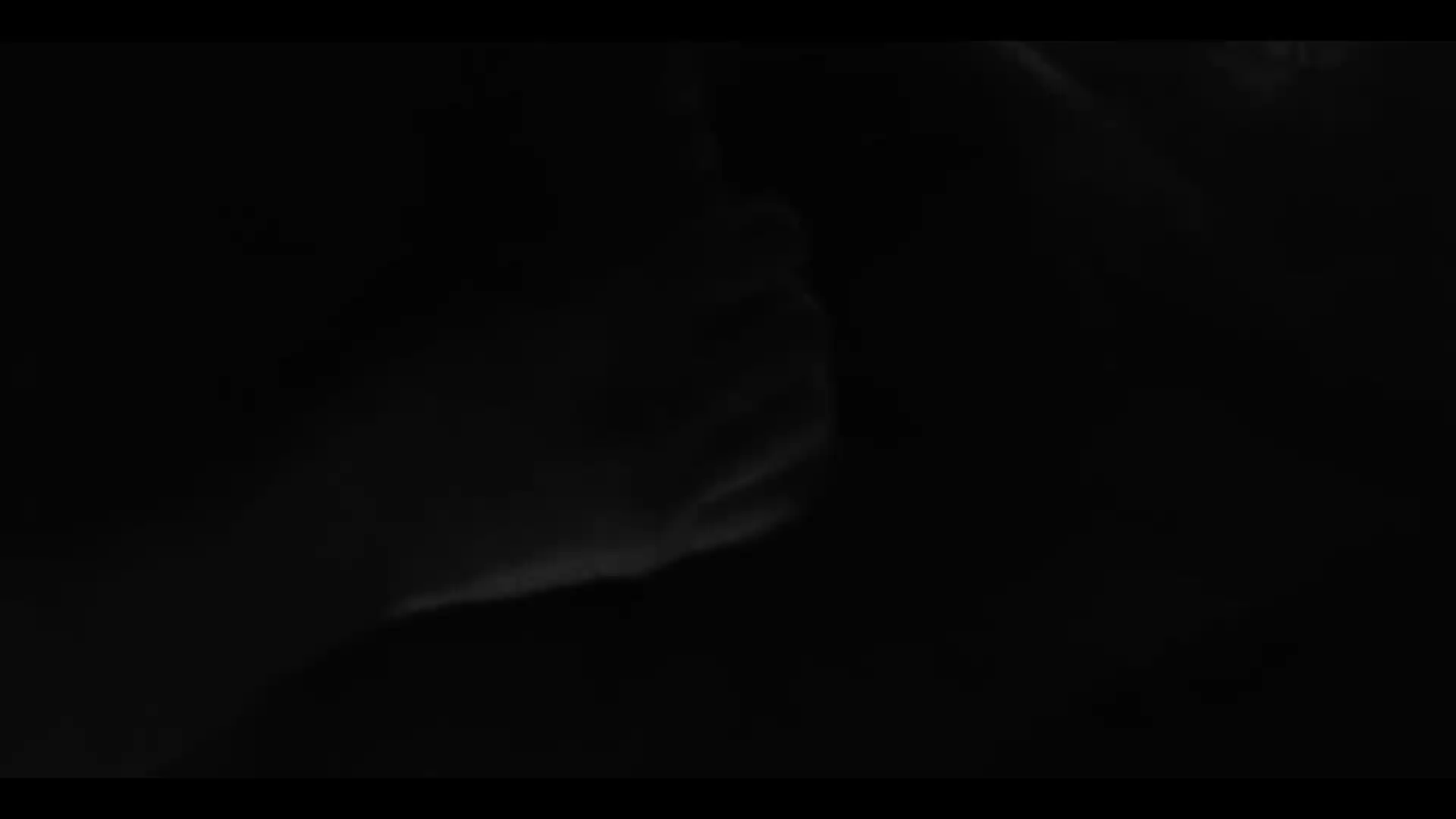 Stripper Fucking and Sucking It Was Worth the Private