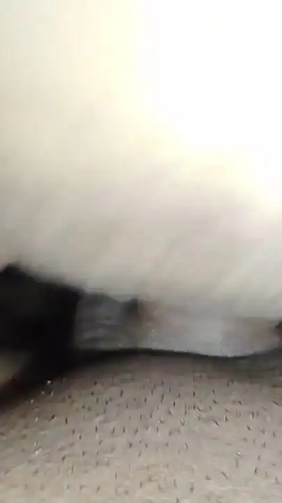 My Husband Licked My Pussy