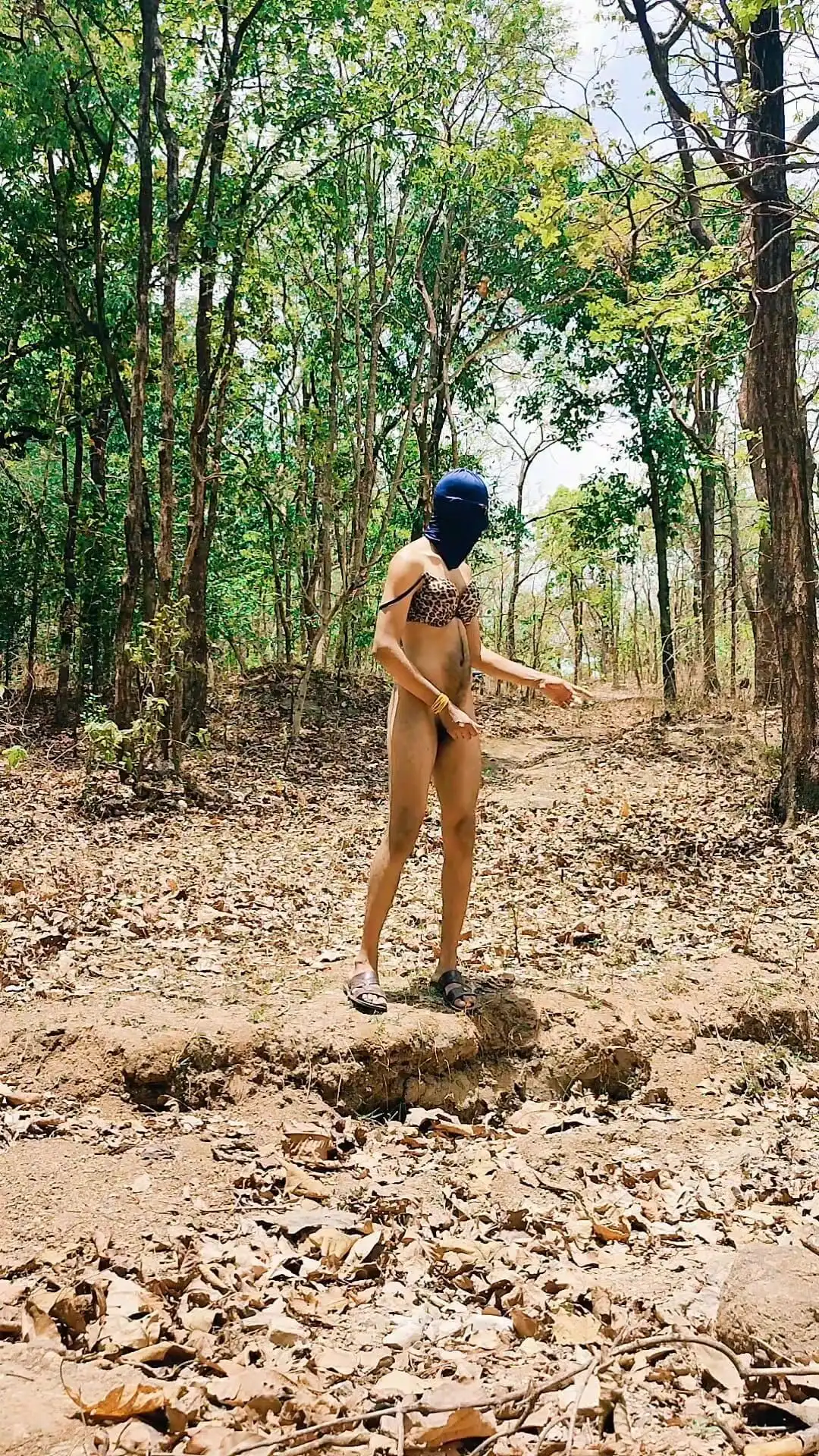 Desi Boy Tani