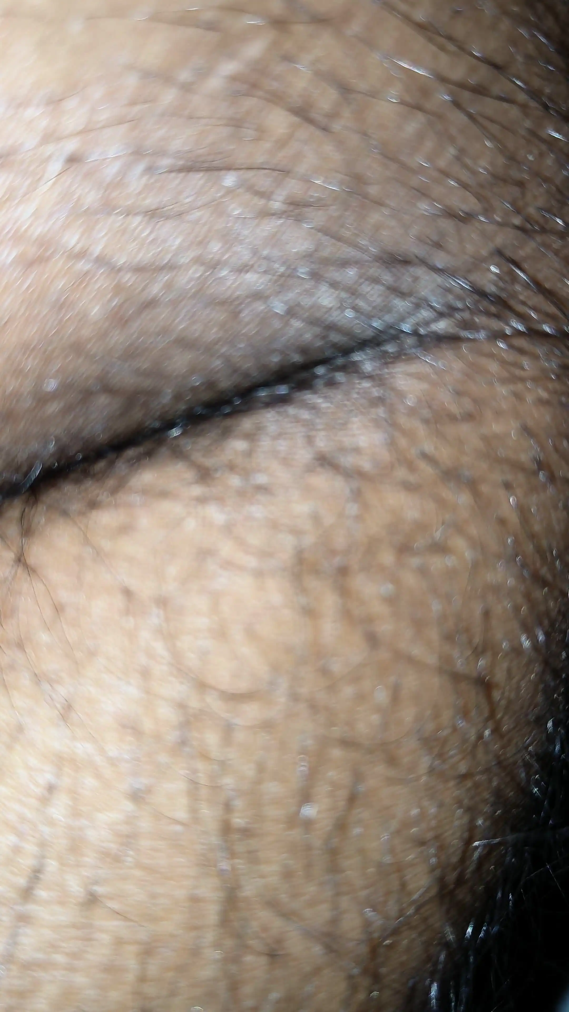 First Video