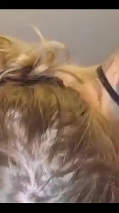 Sucking and Fucking Daddy