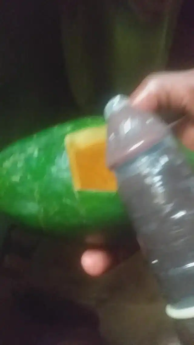 Crazy Cumming and Creampie.