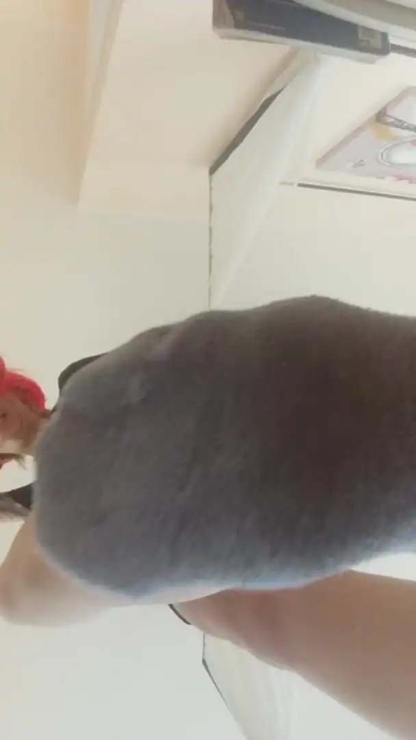 Cumming
