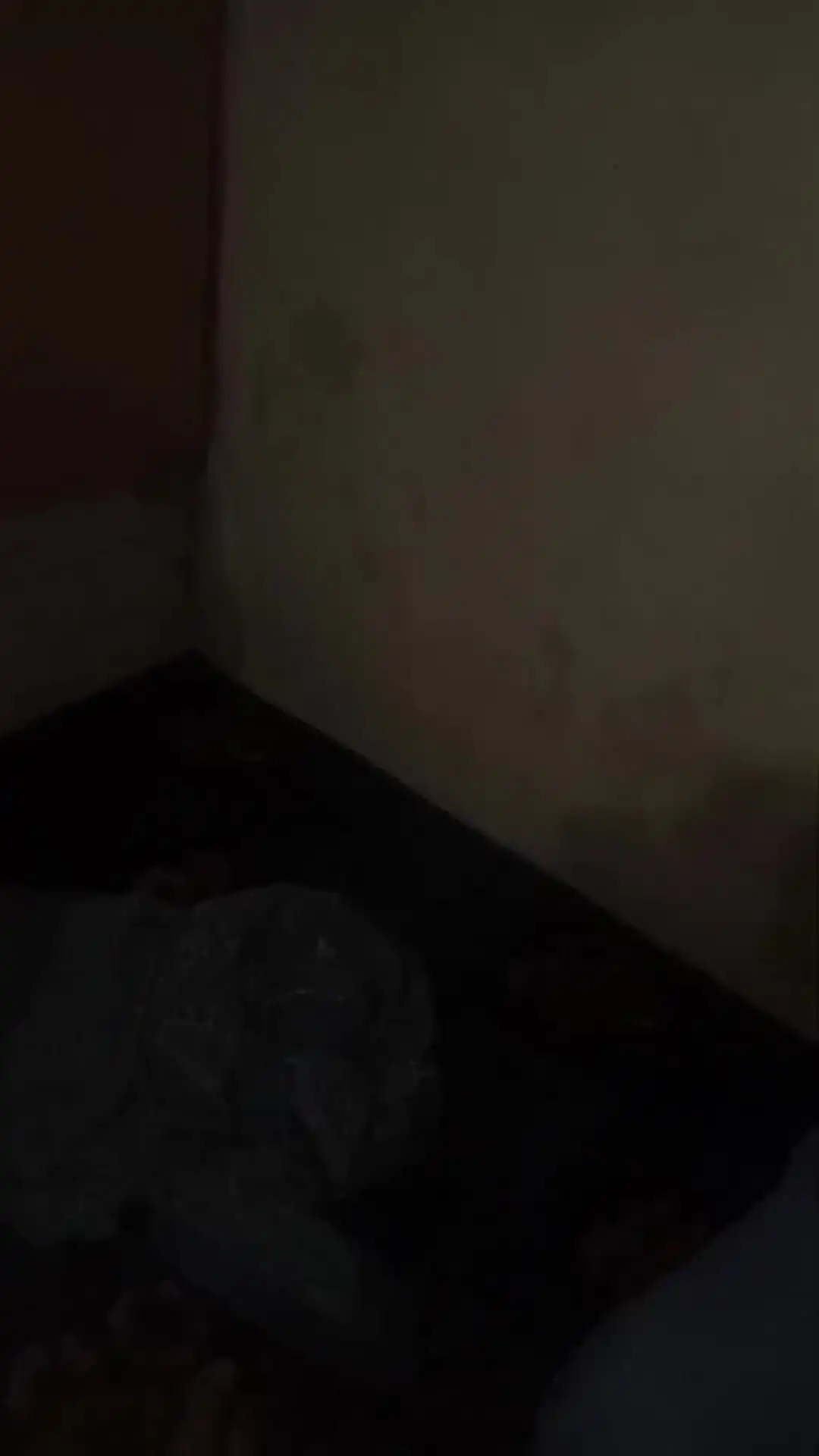 Fucking Home Sexy so Cute