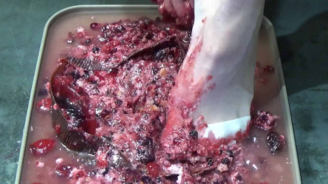 I Pee in Your Cake and Trample It with My Feet