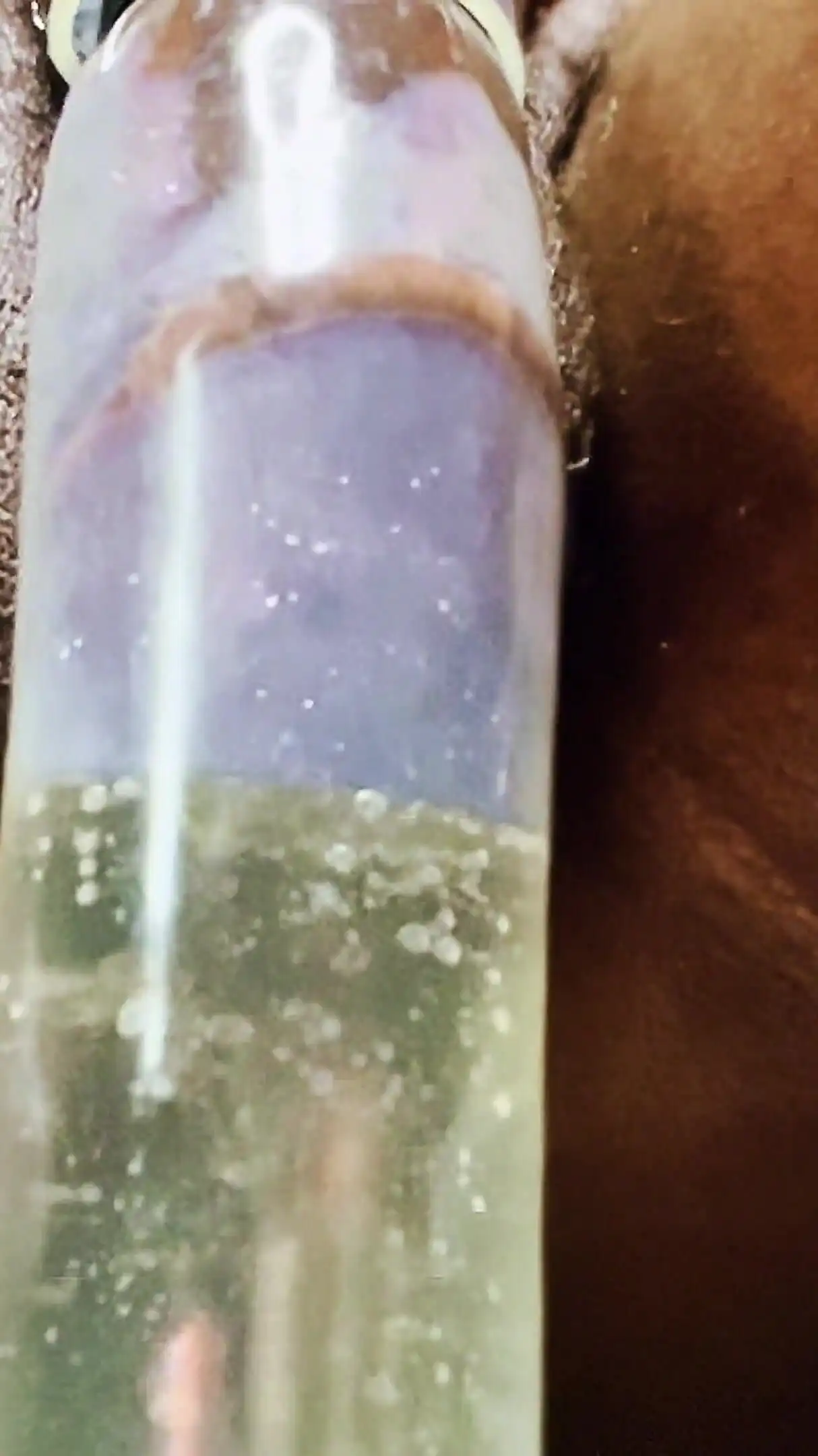 Ms300 Sarazia Exotic - Golden Goddess Nectar