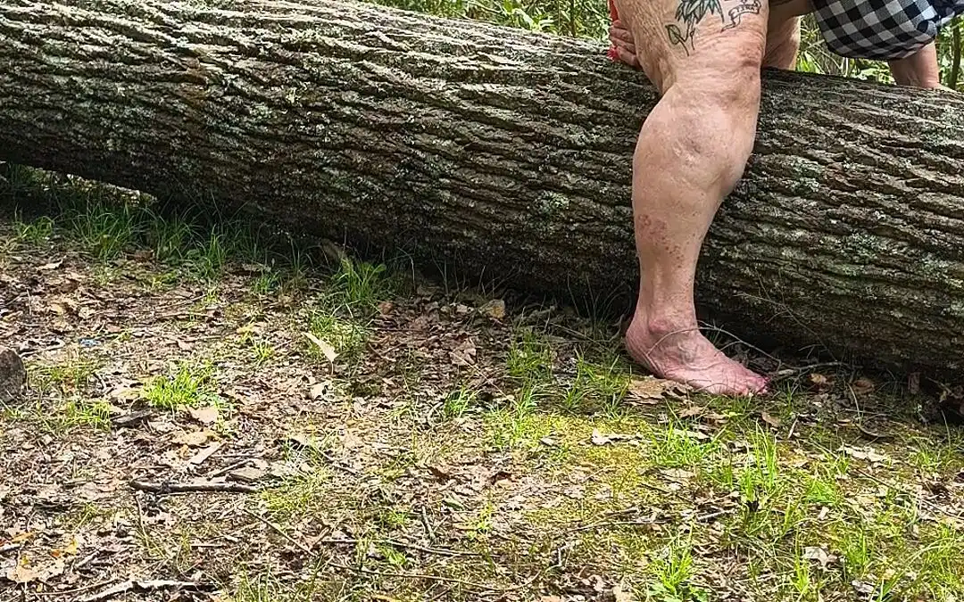 Pussy Pleasing Tree Log Squirting Fat Hog